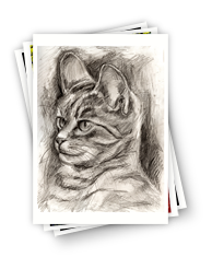 greeting card, artistic greeting card, stylish greeting car, birthday card, valentine card, christmas card, fine art greeting card, gift idea, unique greeting card, artist original greeting card, gift card, cool gift card,  mono tone, drawings, drawings card,cat drawing, mono tone drawing, gift for cat lovers, love cat, animal love