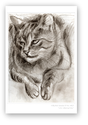 post card, artistic post card, stylish greeting car, birthday card, valentine card, christmas card, fine art post card, gift idea, unique post card, artist original post card, gift card, cool gift card,  mono tone, drawings, drawings card,cat drawing, mono tone drawing, gift for cat lovers, love cat, animal love, cat drawing post card