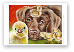 post card, artistic post card, stylish greeting car, birthday card, valentine card, christmas card, fine art post card, gift idea, unique post card, artist original post card, gift card, cool gift card,  funny card, funny gift card, humorous gift card,baby sitter, chick, dog, funny dog card, love 