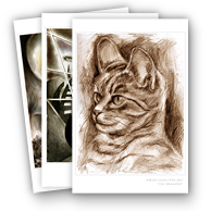 post card, artistic post card, stylish greeting car, birthday card, valentine card, christmas card, fine art post card, gift idea, unique post card, artist original post card, gift card, cool gift card,  mono tone, drawings, drawings card,cat drawing, mono tone drawing, gift for cat lovers, love cat, animal love