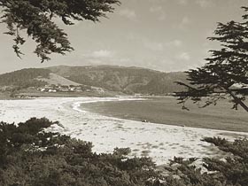ブログ, エッセイ, シングルマザー, 海外生活, 人気のブログ, 注目のブログ, 話題のエッセイ, カリフォルニア生活, アメリカ生活, ノンフィクション, 現代画家, 人気, アーティスト, サンフランシスコ, フェースブック話題の人, 話題の人, 海外の日本人アーティスト, 海, 海岸, ビーチ, カーメル, 自然