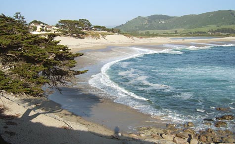 ブログ, エッセイ, シングルマザー, 海外生活, 人気のブログ, 注目のブログ, 話題のエッセイ, カリフォルニア生活, アメリカ生活, ノンフィクション, 現代画家, 人気, アーティスト, サンフランシスコ, フェースブック話題の人, 話題の人, 海外の日本人アーティスト, カーメル, ビーチ, 砂浜,  観光, 海岸,  美しい風景