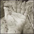 artist's hand, painting, hand covered with paint, messy hand