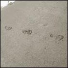 foot, ocean, beach, foot in water at beach, water, summer, sea, ocean beach, sand, footprints on sand, footprints, san francisco, california