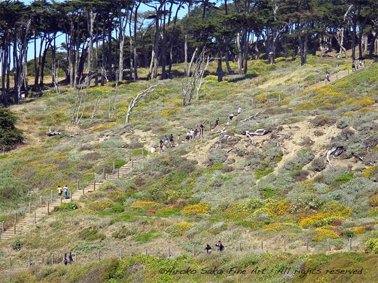 san francisco, ocean beach, cliff house, nature, california, hiking