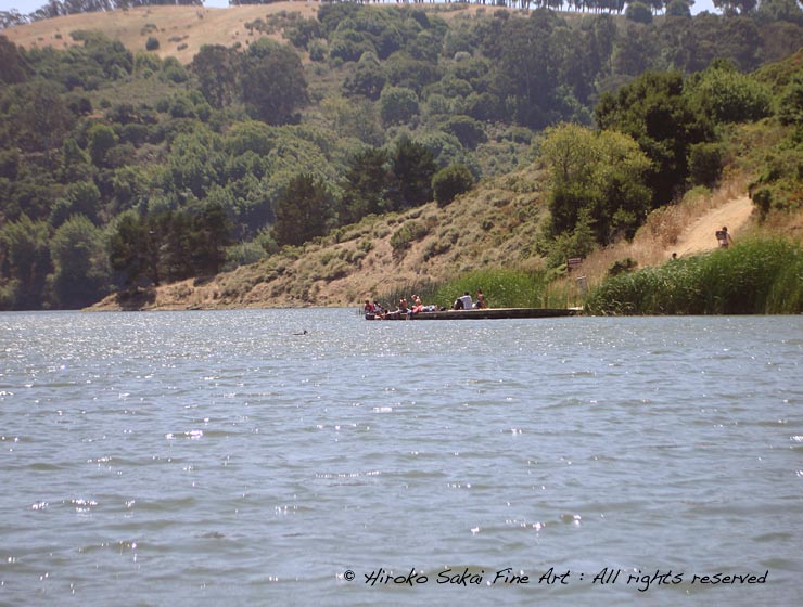 lake shabot, beautiul lake, national park, nature, water, trees, oakland, california 